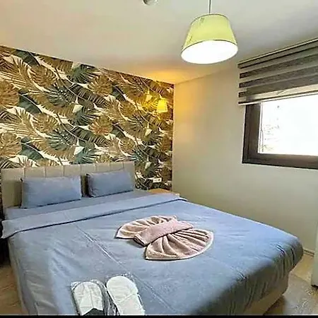 Hotel Solo 3*